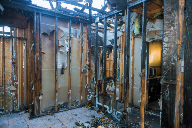 Professional Smoke Damage Removal technician working in Oak Park Heights, MN